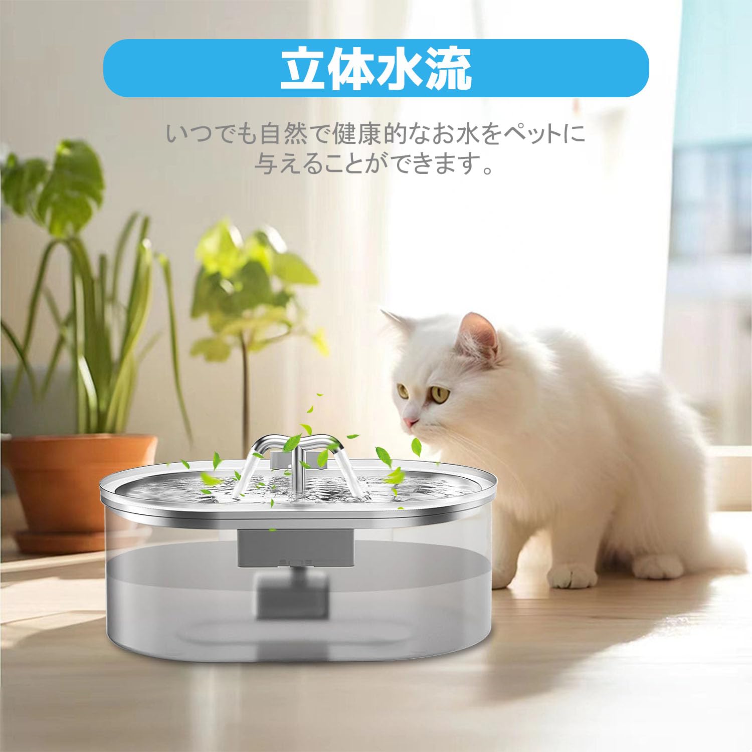 Amazon | Petsupro 猫犬用自動給水器フィルター 交換可能なスポンジ